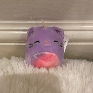 Surprise pack micro squishmallow.